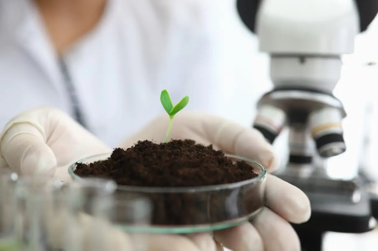 Seapa apresenta produção de bioinsumos a representantes de dez embaixadas