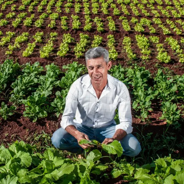 Divulgada lista dos agricultores aprovados no PAA 2023