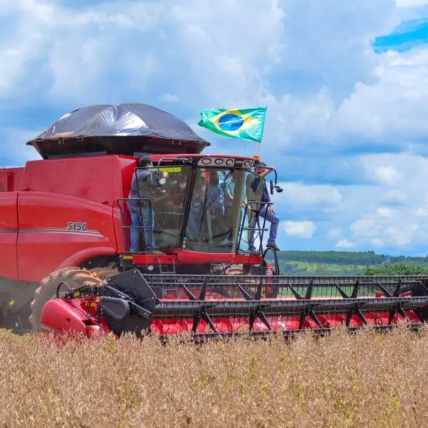 Geração de empregos em Goiás é destaque nacional