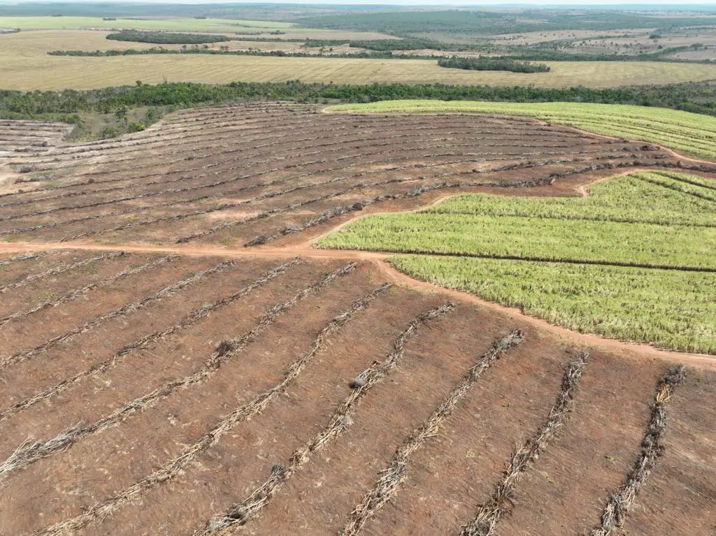 área de desmatamento em Mineiros