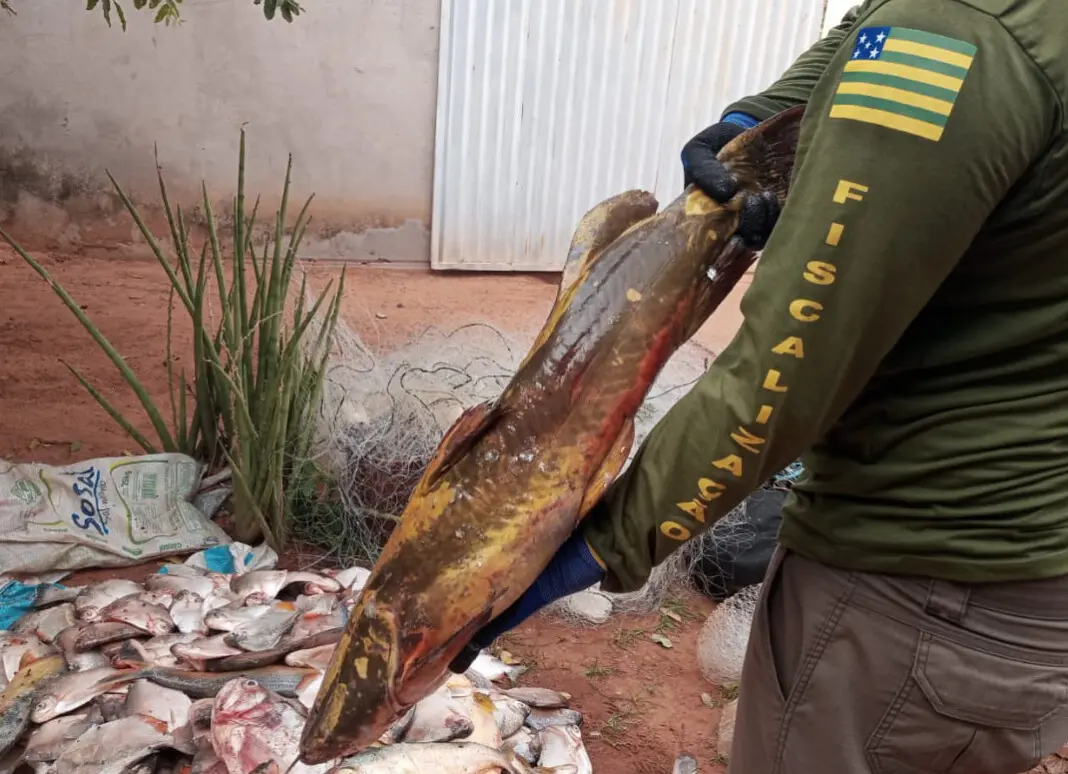 Operação prende 8 por pesca predatória, fraude fiscal e lavagem de dinheiro