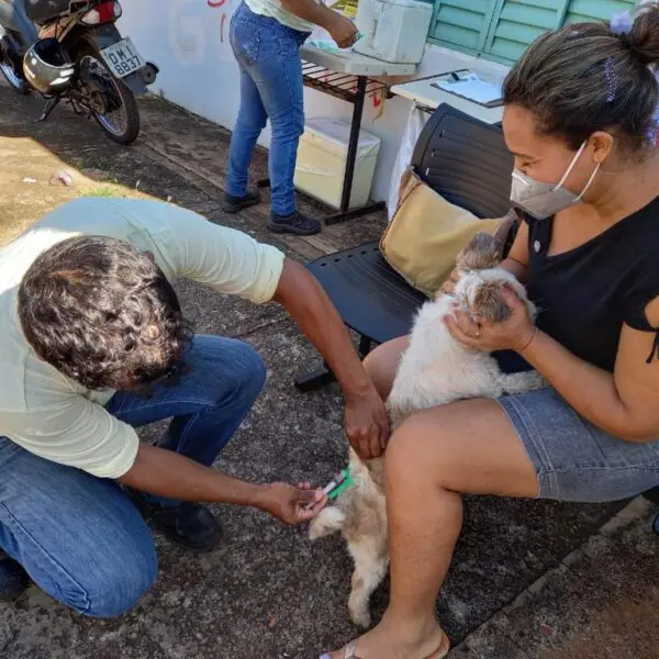 Saúde convoca população para vacinar cães e gatos contra raiva animal