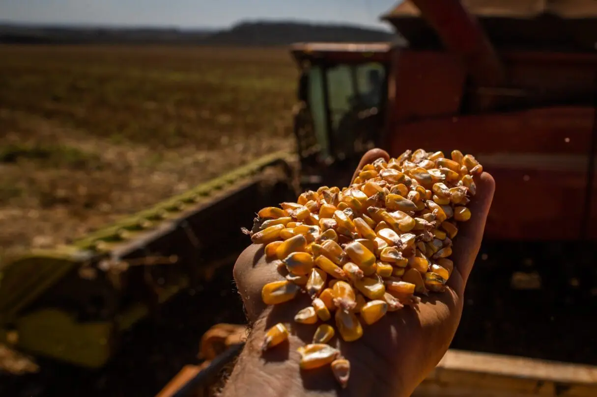 Goiás bate recorde na produção de grãos