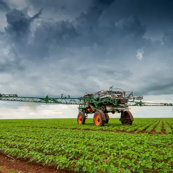 Rio Verde é o maior produtor brasileiro de soja