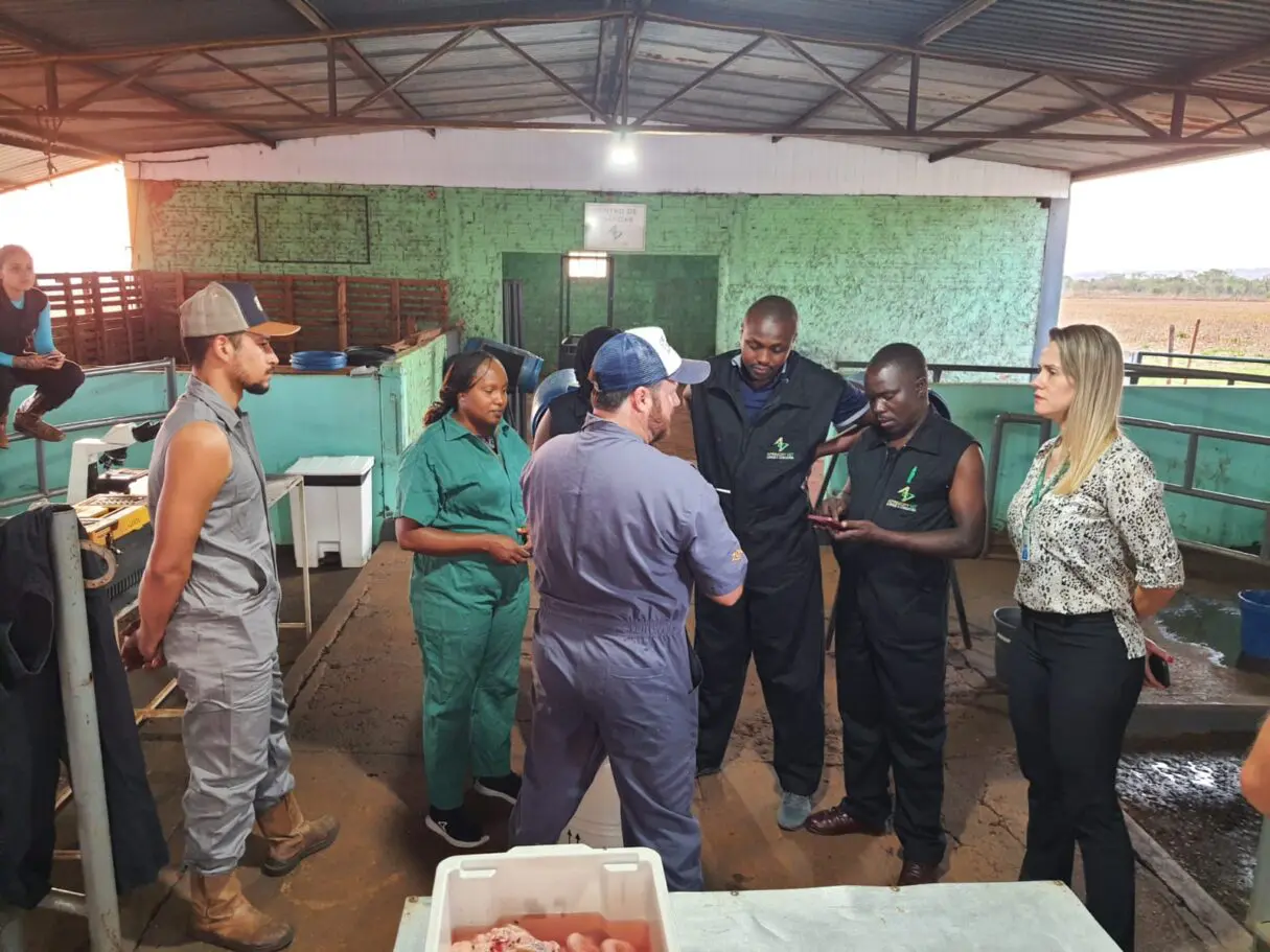 Veterinário do Quênia durante visita para aprender sobre bovinicultura leiteira goiana