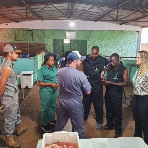 Veterinário do Quênia durante visita para aprender sobre bovinicultura leiteira goiana