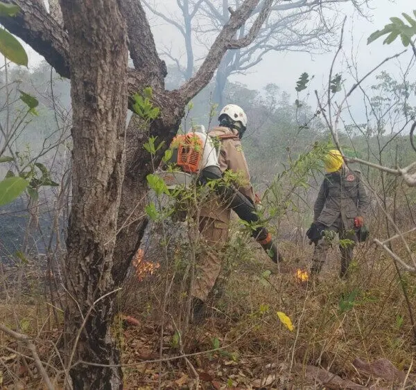 Bombeiros combatem chamas na Operação Cerrado Vivo