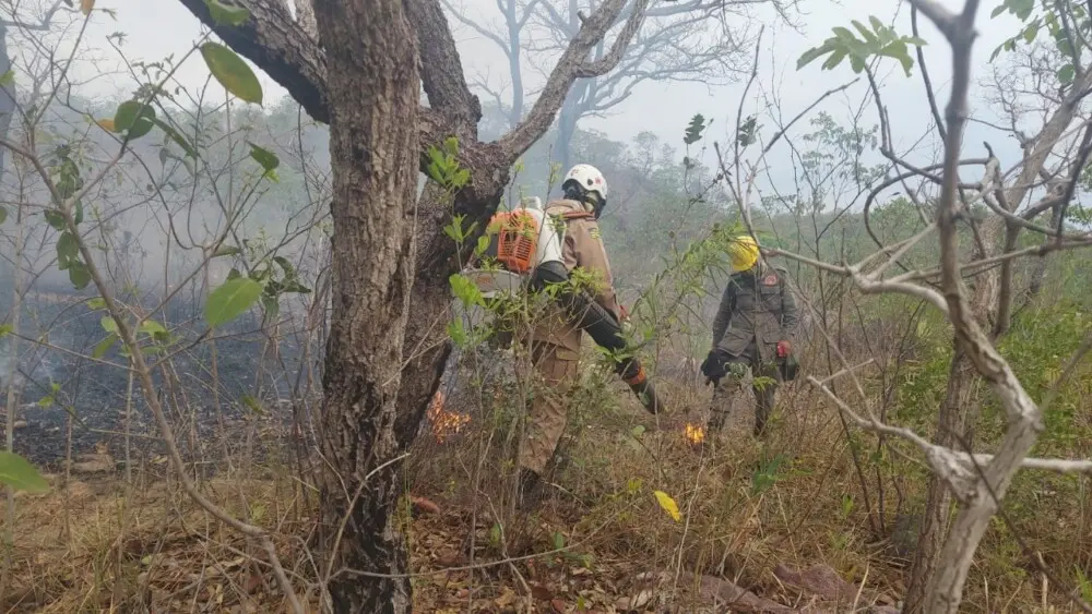 Bombeiros combatem chamas na Operação Cerrado Vivo