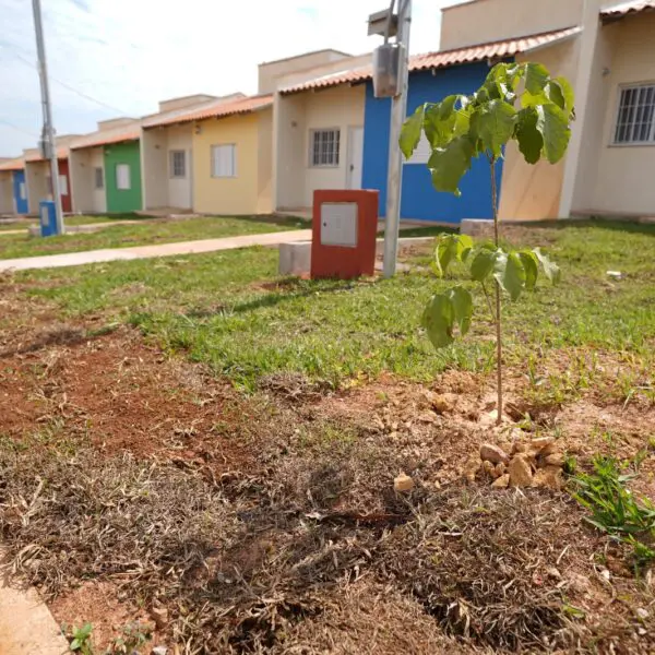 Habitação entrega 717 casas a custo zero em 2023 Governo inscrições de casas a custo zero em Alto Paraíso, Buriti e Pontalina