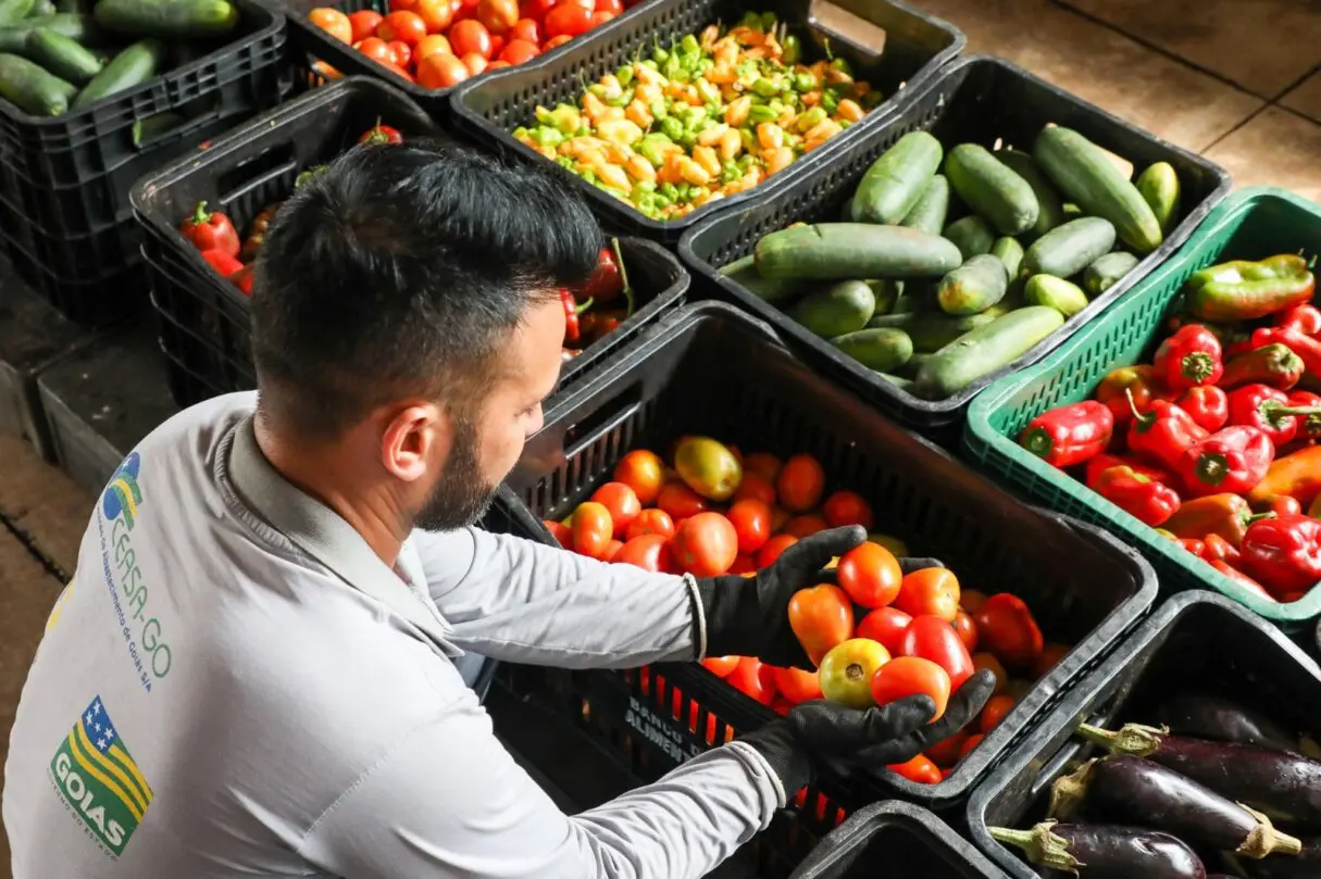 BANCO DE ALIMENTOS NA CEASA