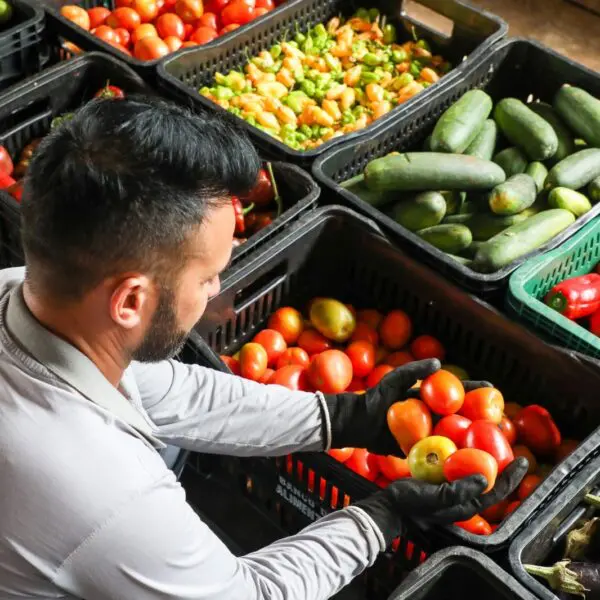 BANCO DE ALIMENTOS NA CEASA