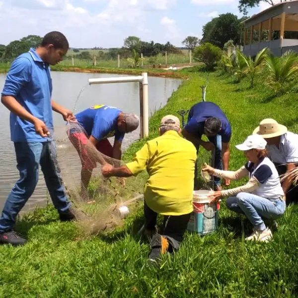 Abertura do Mutirão da Emater em Leopoldo de Bulhões será nesta terça