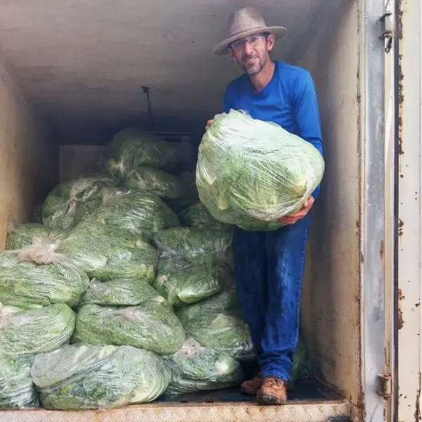 Agricultores familiares iniciam entregas de alimentos do PAA Goiás