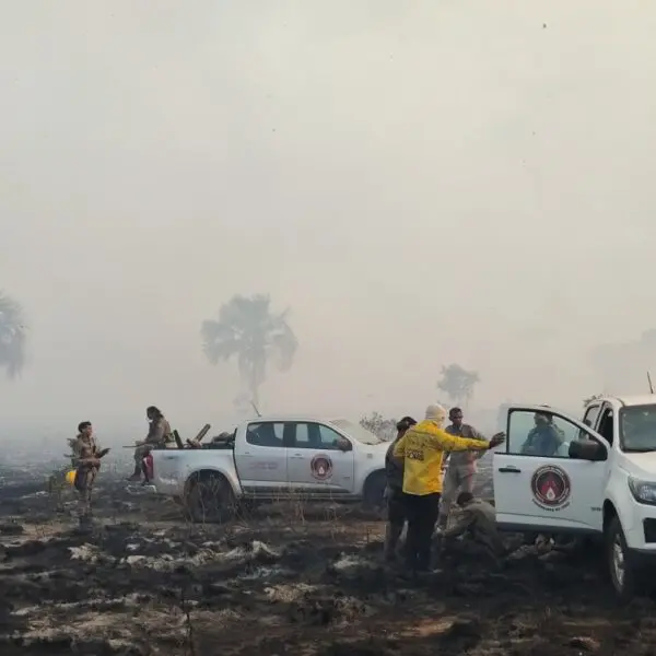 Incêndio consumiu 5,5 mil hectares no Parque de Terra Ronca