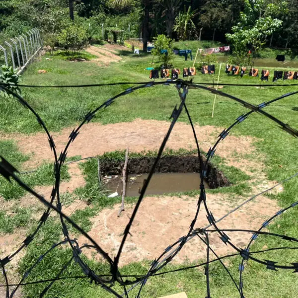 Polícia Civil encontra internos em situação de maus-tratos em clínica de Aparecida de Goiânia