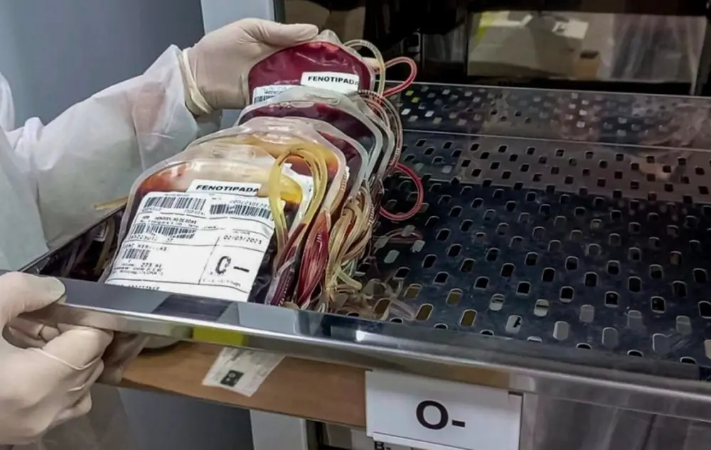 Hemocentro vai coletar sangue para prematuros e gestantes 