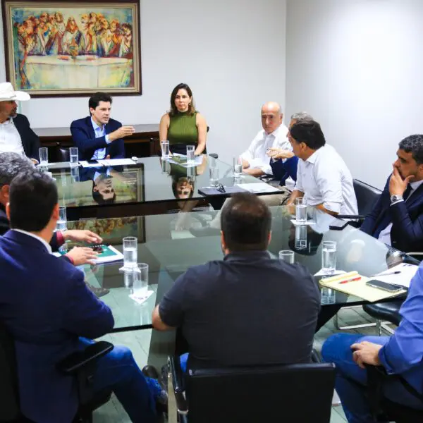 Daniel Vilela em reunião sobre cadeira leiteira goiana