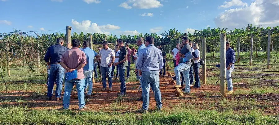 Publicado edital de seleção de novos produtores para projeto de Fruticultura do Vão do Paranã