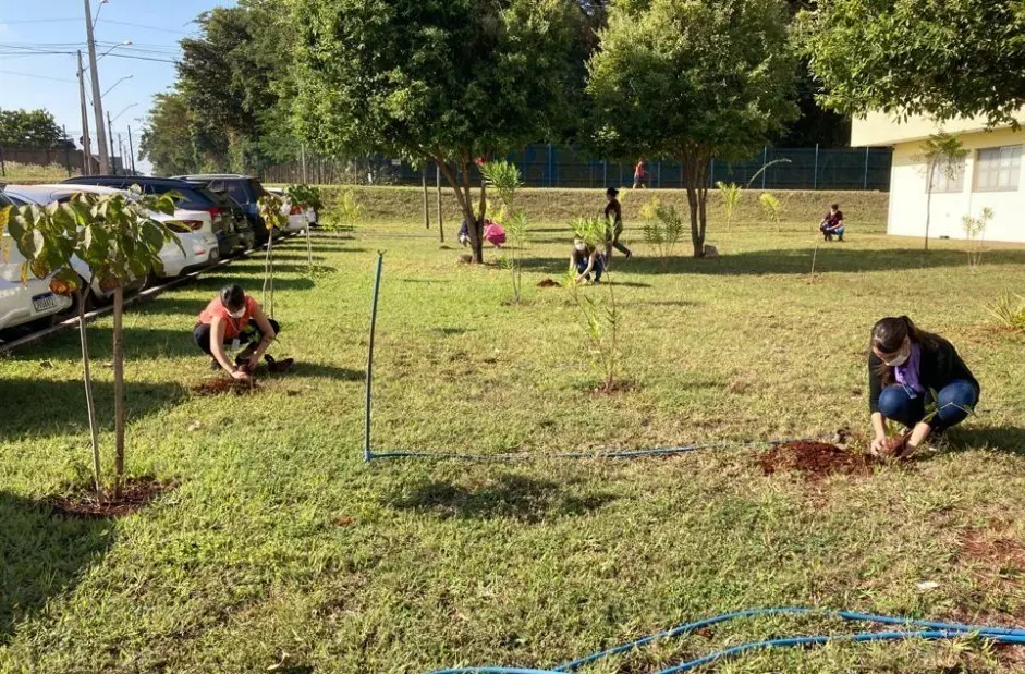 Virada Ambiental tem mais de 1,1 milhão de mudas plantadas