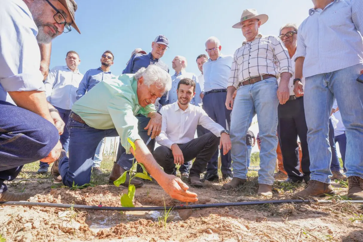 Caiado no lançamento do Projeto de Fruticultura Irrigada do Vão do Paranã