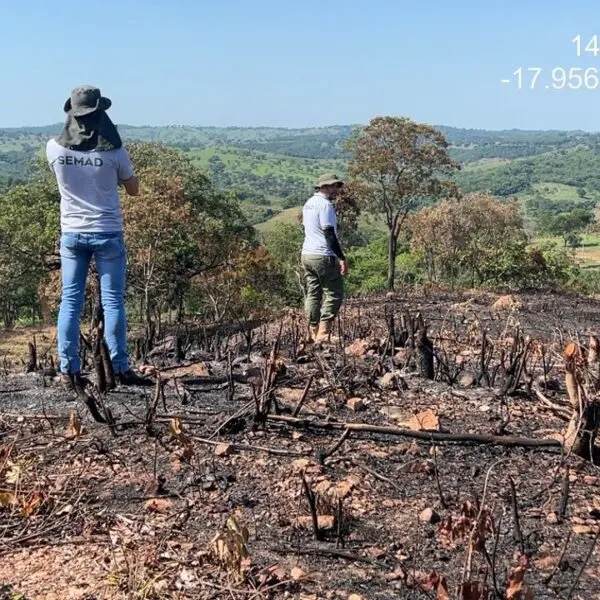 Semad realiza flagrantes em Corumbaíba e em Marzagão