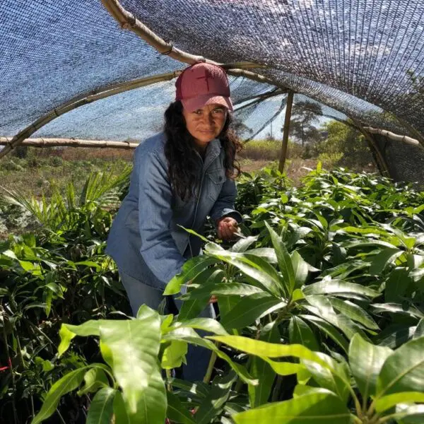 Governo seleciona produtores para Projeto de Fruticultura Irrigada do Vão do Paranã