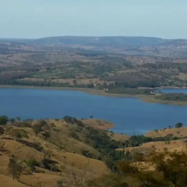 Mata Atlântica teve desmatamento zero em Goiás neste ano, diz balanço nacional