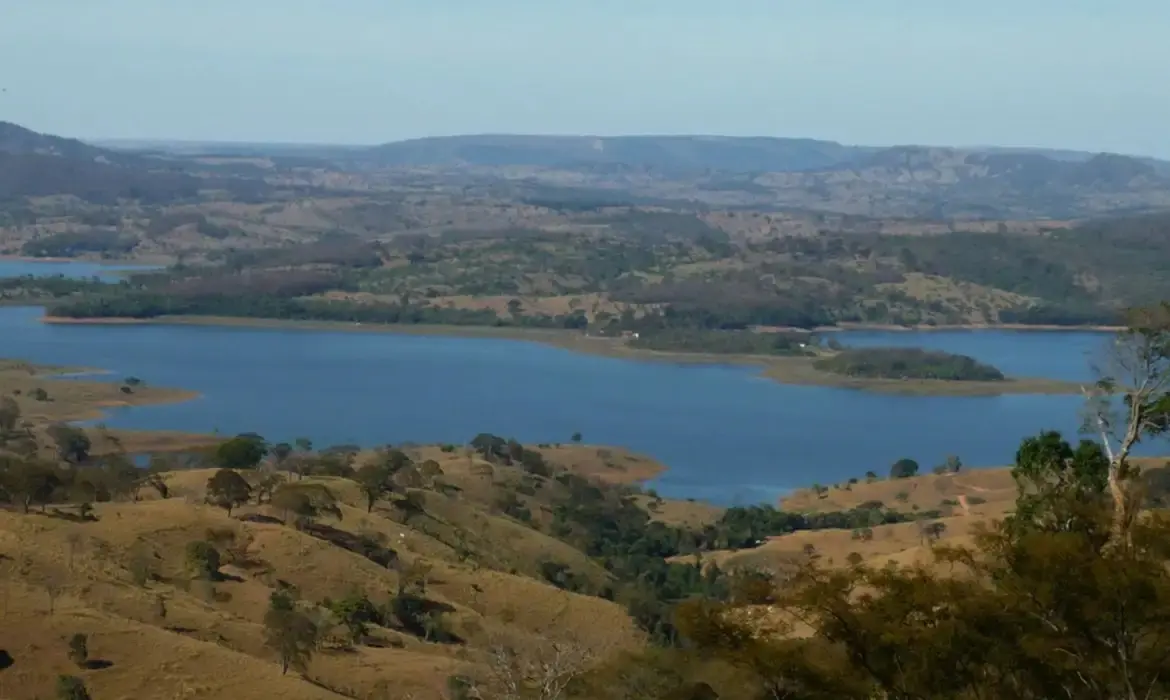 Mata Atlântica teve desmatamento zero em Goiás neste ano, diz balanço nacional