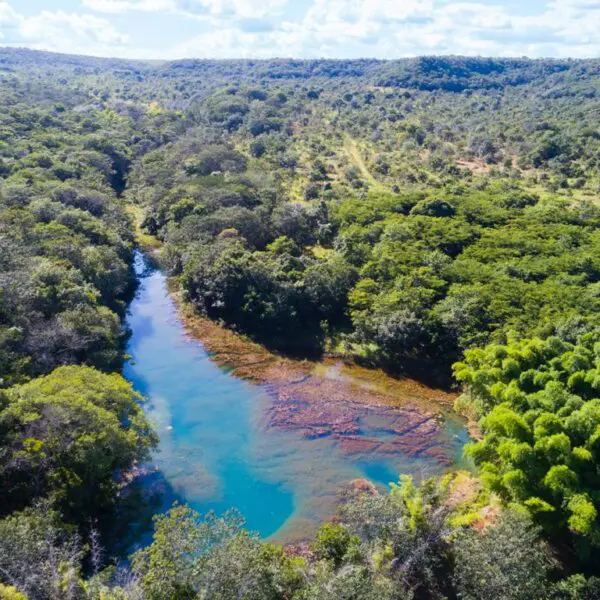 Rio Araguaia_Juntos pelo Araguaia