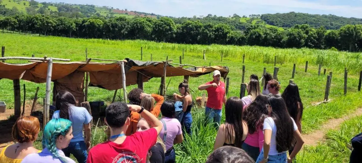 Grupo de trabalho vai fomentar a educação sanitária