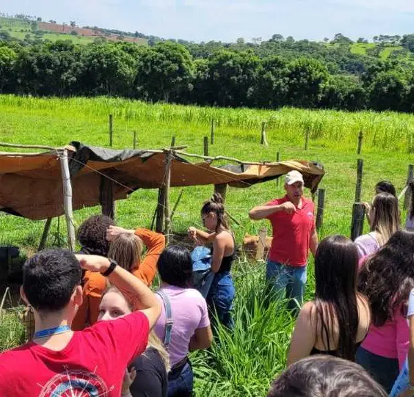 Grupo de trabalho vai fomentar a educação sanitária