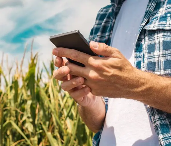 Seapa lança canal Agro Goiás no WhatsApp