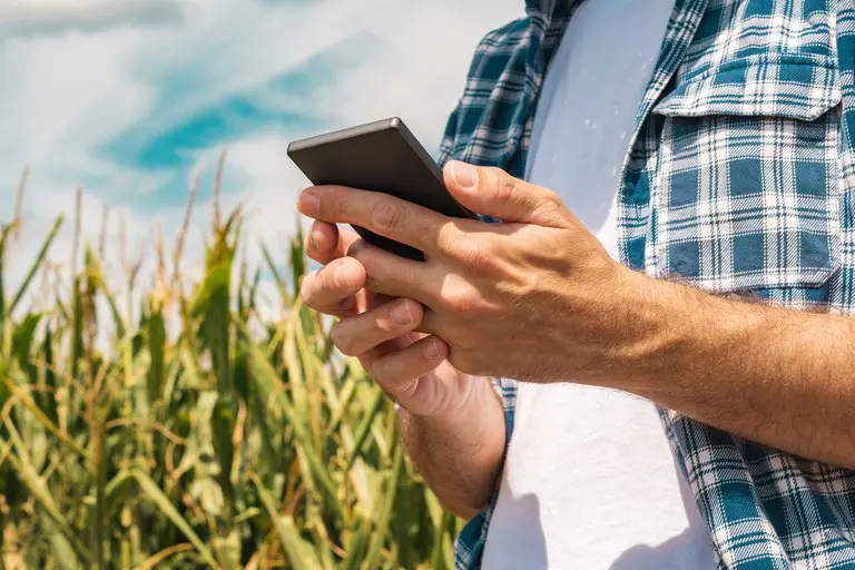 Seapa lança canal Agro Goiás no WhatsApp