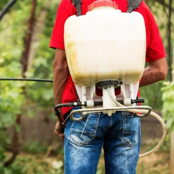 Governo promove ações para minimizar riscos de exposição a agrotóxicos