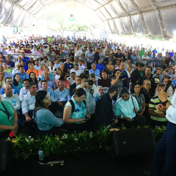 Caiado anuncia fim das pontes de madeira em todos os municípios