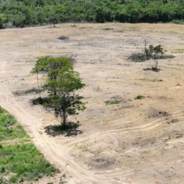 Flagra de área de desmatamento em Pirenópolis