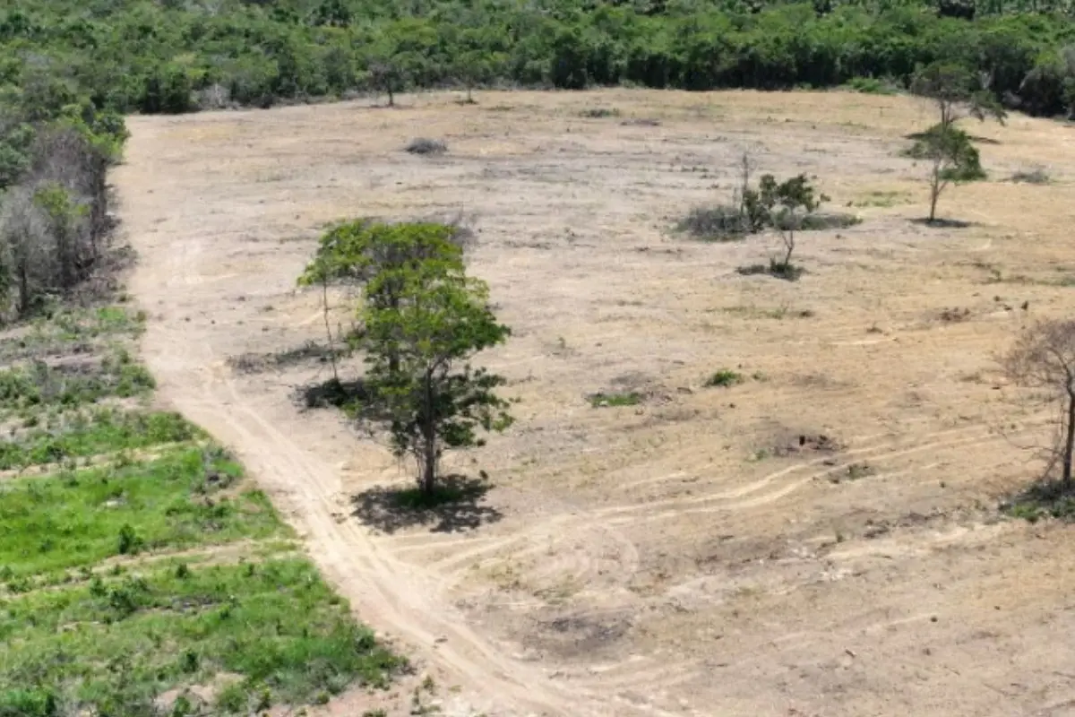 Flagra de área de desmatamento em Pirenópolis