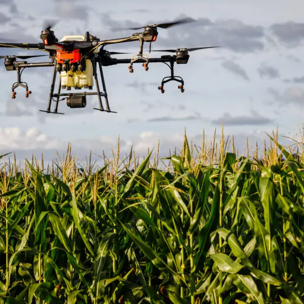 Agrodefesa alerta: drones pulverizadores de agrotóxicos precisam de registro junto à Agência