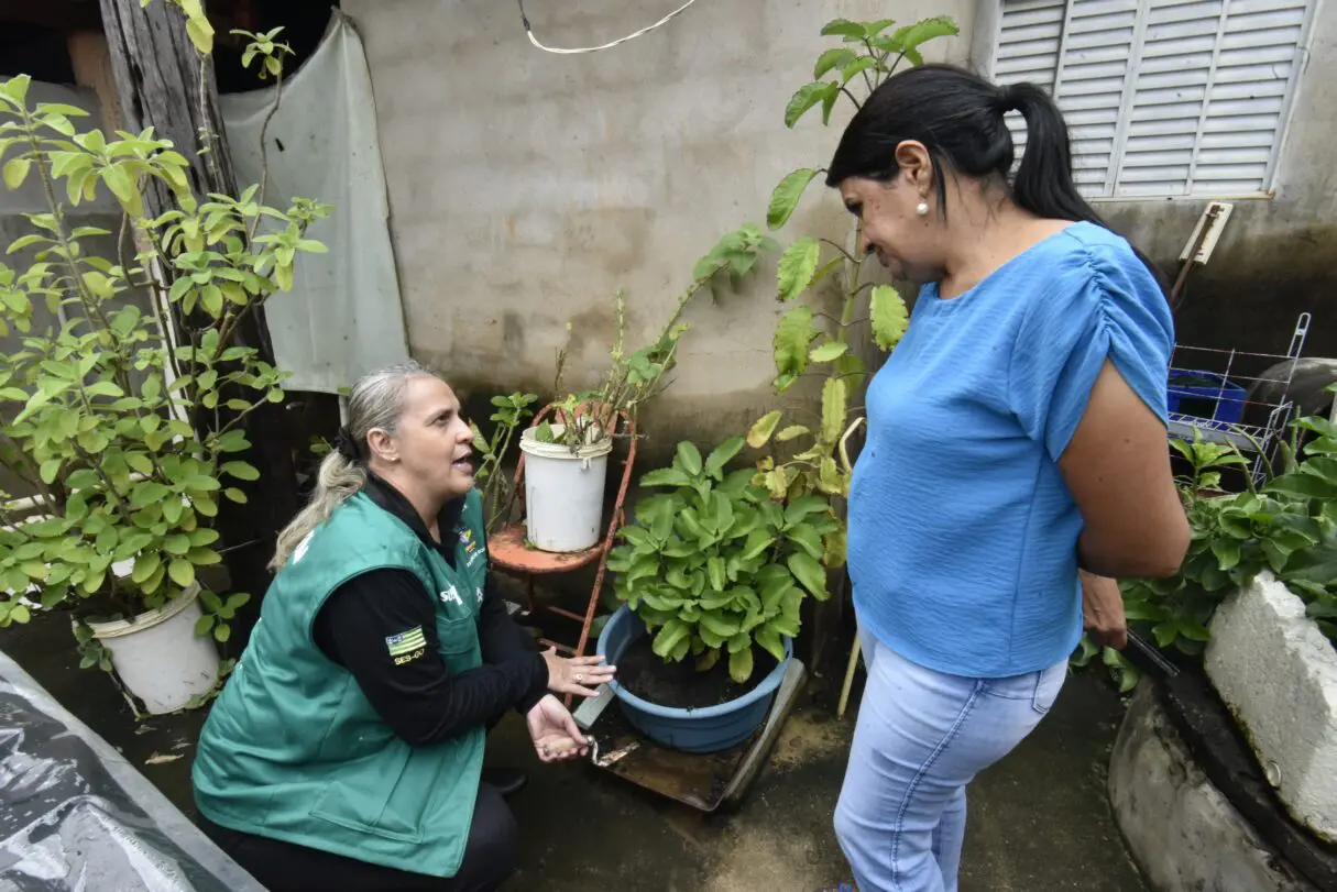 Goiás tem 42.851 casos de dengue e 44 mortes