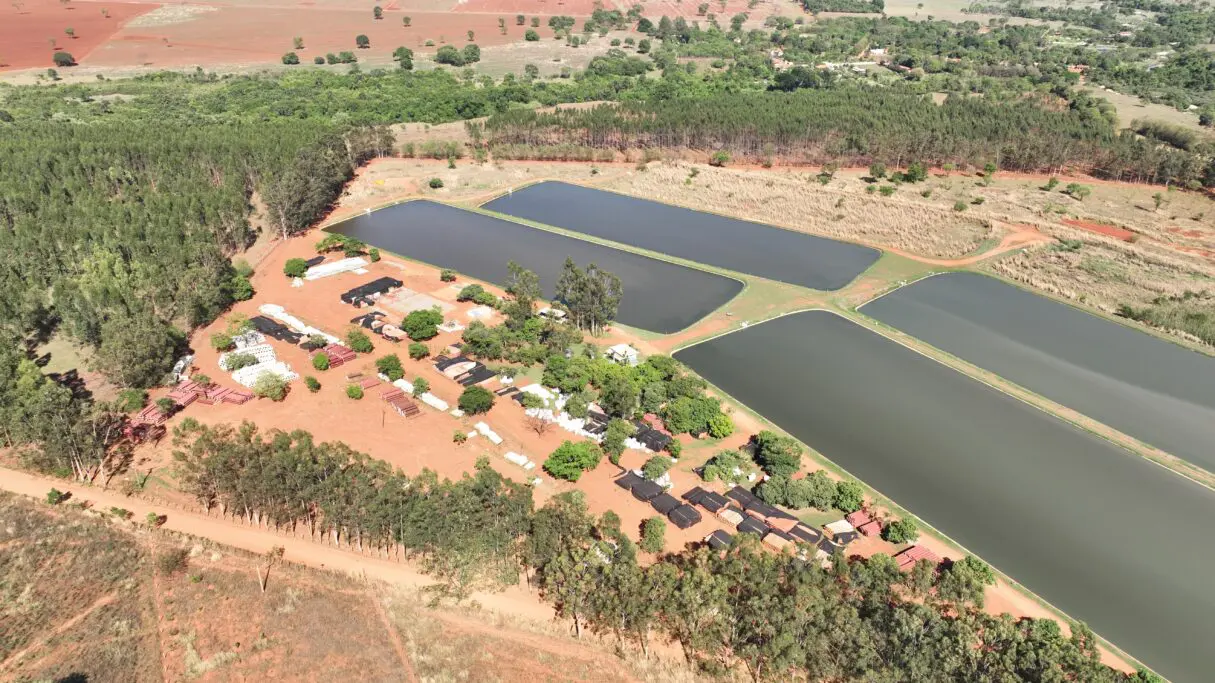 Universalização dos serviços de esgoto em Aparecida, Trindade, Rio Verde e Jataí