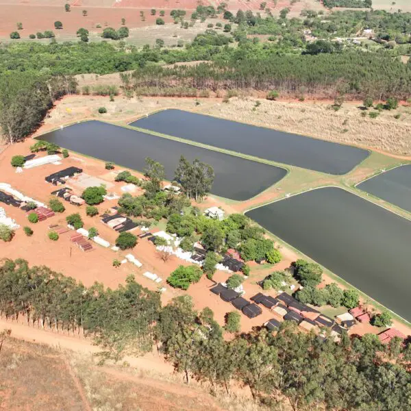 Universalização dos serviços de esgoto em Aparecida, Trindade, Rio Verde e Jataí