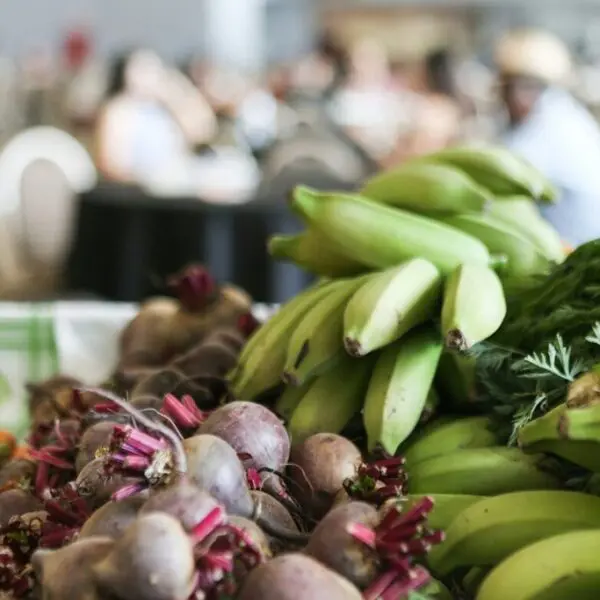 alimentos_Programa de Aquisição de Alimentos Quilombola