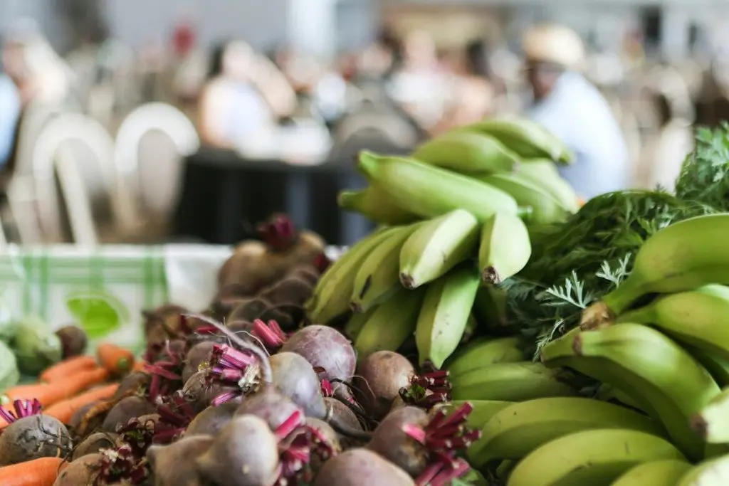 alimentos_Programa de Aquisição de Alimentos Quilombola