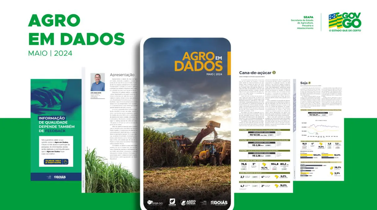 Cana-de-açúcar é destaque do Agro em Dados de maio