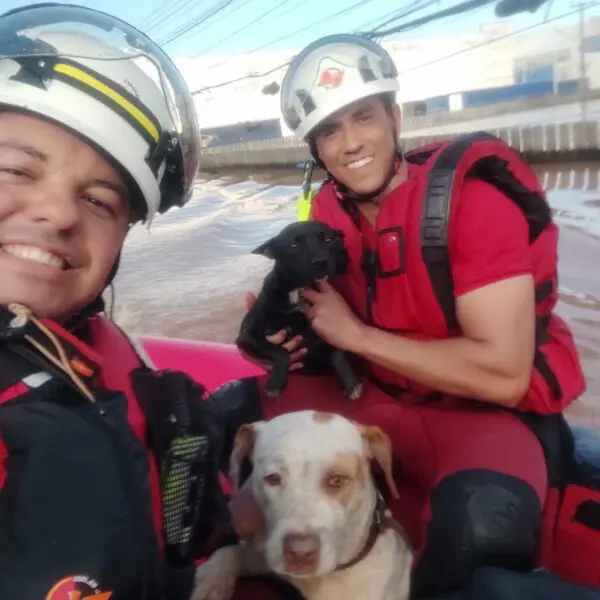 Resgate dos bombeiros no Rio Grande do Sul_CBMGO