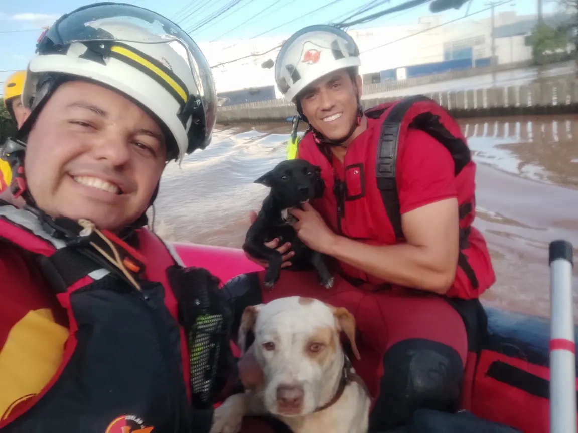 Resgate dos bombeiros no Rio Grande do Sul_CBMGO