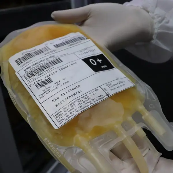 Em um ano, Rede Hemo envia à Hemobras quase 11 mil bolsas de plasma para medicamentos
