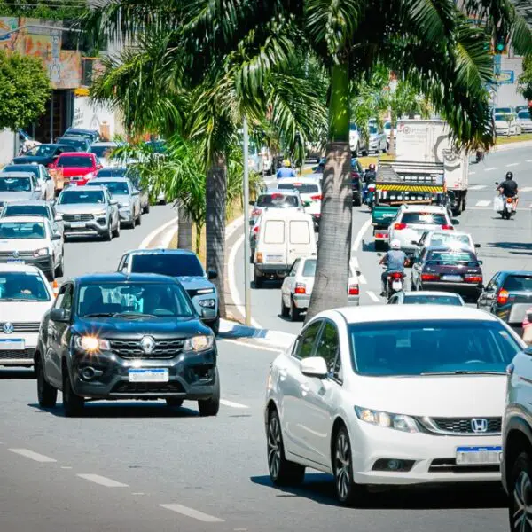 IPVA: 15 de janeiro é data limite para desconto único e inicio do parcelamento segunda