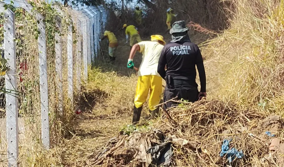 Presos trabalham na roçagem do Parque Serrinha