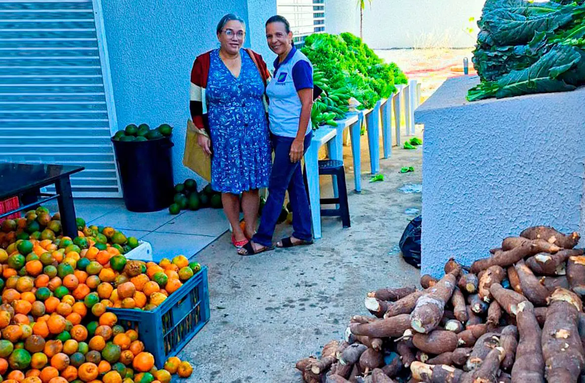 Agricultores familiares iniciam entregas de alimentos do PAA Quilombola